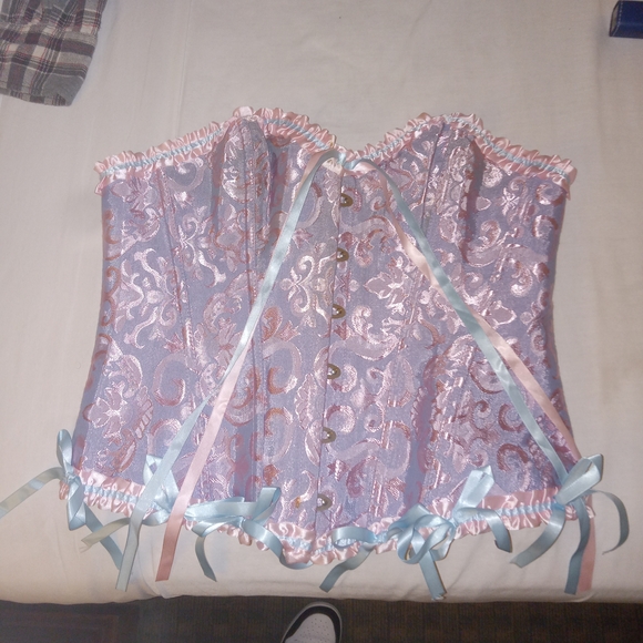 Chic Lace Bodysuit in Pink and Blue - Picture 1 of 3